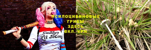 мяу мяу мука Михайлов