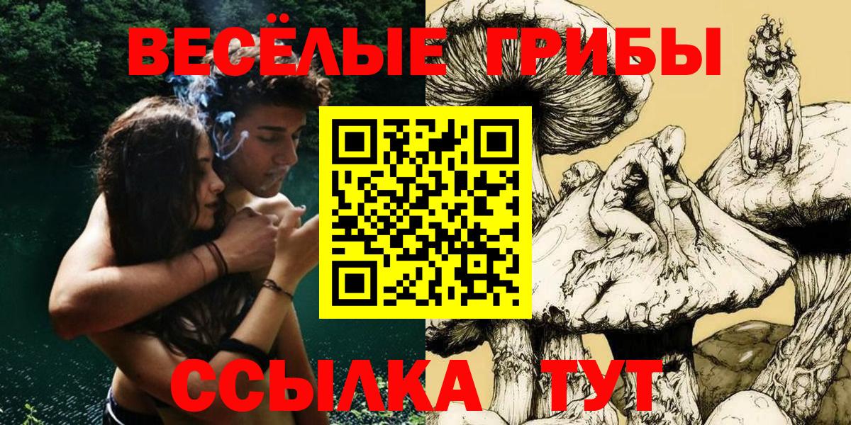 Таганрог  наркотики  Вход с VPN  Галлюциногенные грибы Psilocybe 