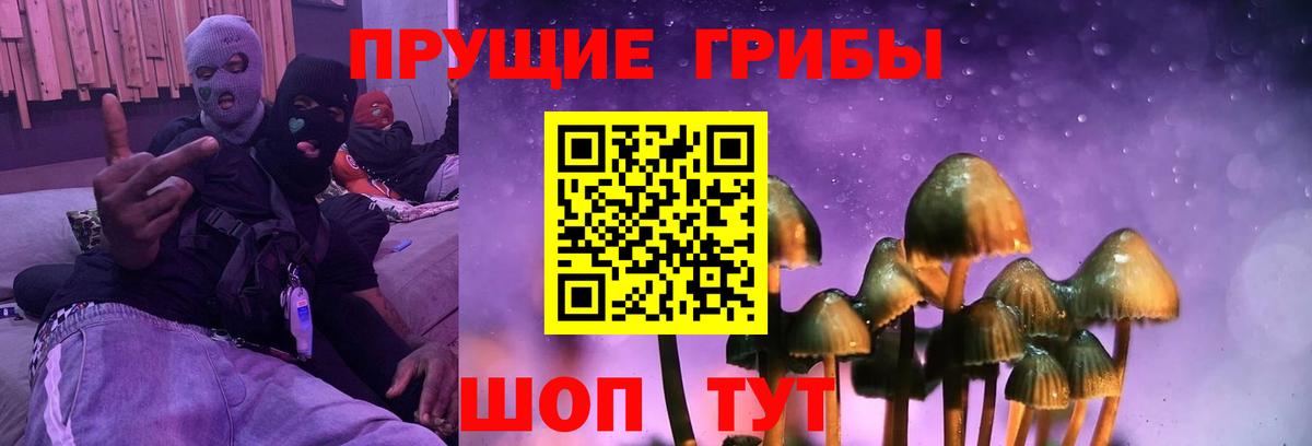 Галлюциногенные грибы Magic Shrooms Таганрог